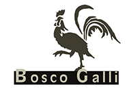 Bosco Galli Logo